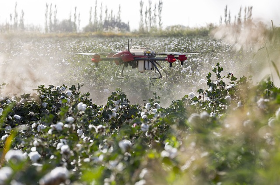 Факты гибели урожая будут устанавливать с помощью дронов